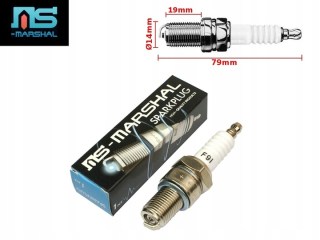 b8es spark plug